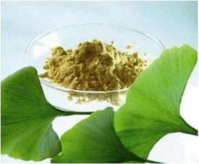 ginko biloba extract