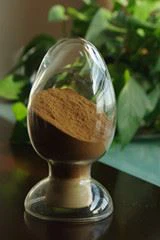 Black Cohosh Extract