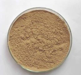 ivy leaf extract ivy leaf extract