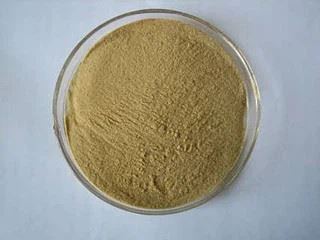 loquat leaf extract
