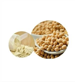 Protein Kedelai Organik