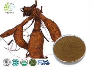 Ekstrak Pueraria