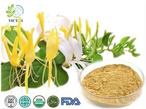 Ekstrak Honeysuckle