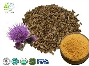 Ekstrak Milk Thistle