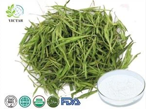Ekstrak Bambu Organik
