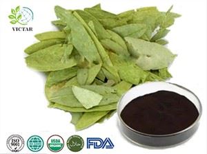 Ekstrak Daun Senna