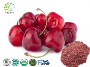 Tart Cherry Bubuk