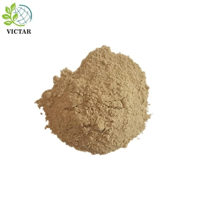 Bubuk Astragalus