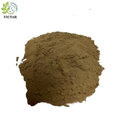 Bubuk Daun Ginkgo