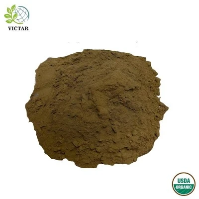 Bubuk Daun Ginkgo Biloba Organik